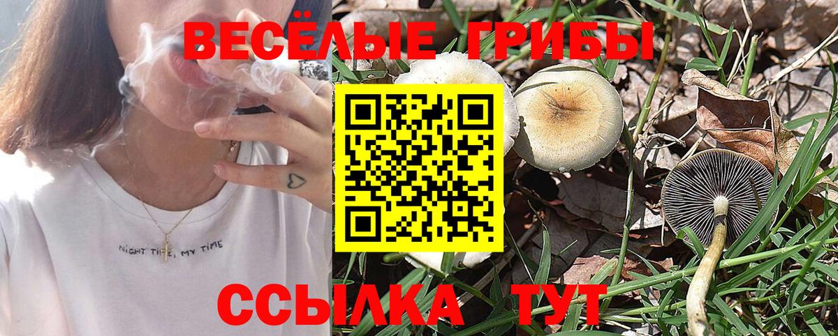 Галлюциногенные грибы Cubensis  продажа наркотиков  Амурск  Вход с VPN 