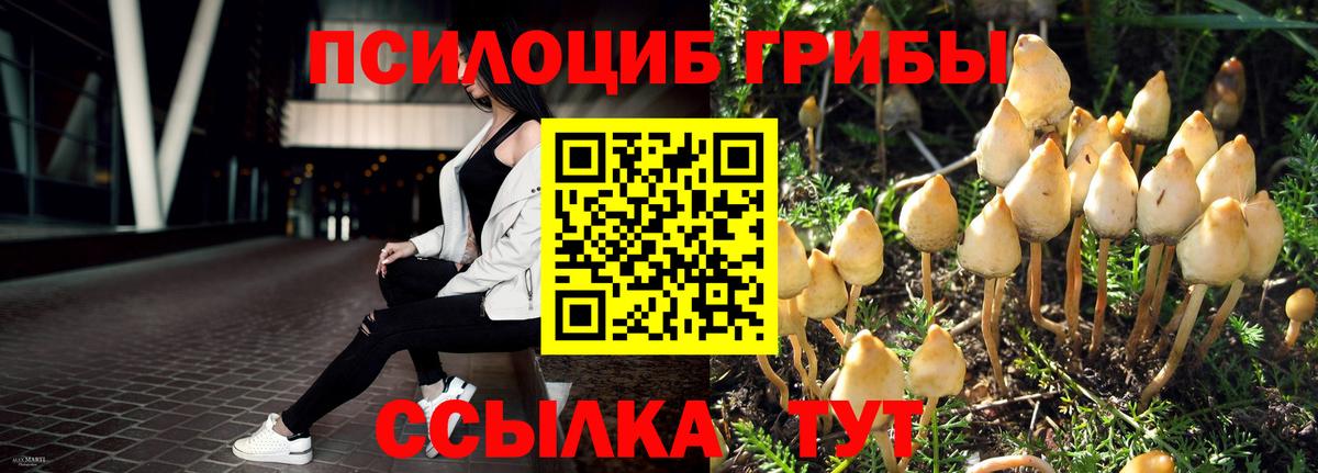 Галлюциногенные грибы мухоморы Амурск